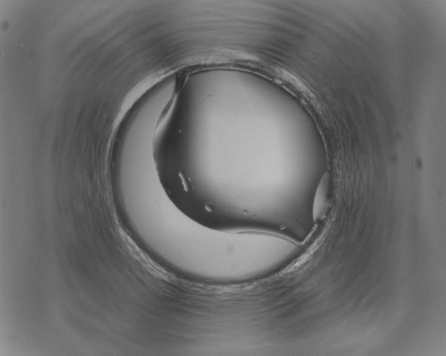 X0000071901122200607281756