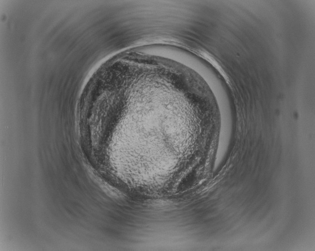 X0000071901124200607281756