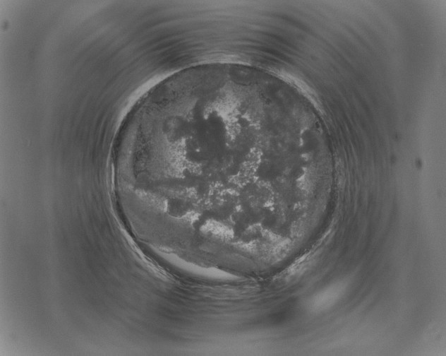 X0000071901125200607281756