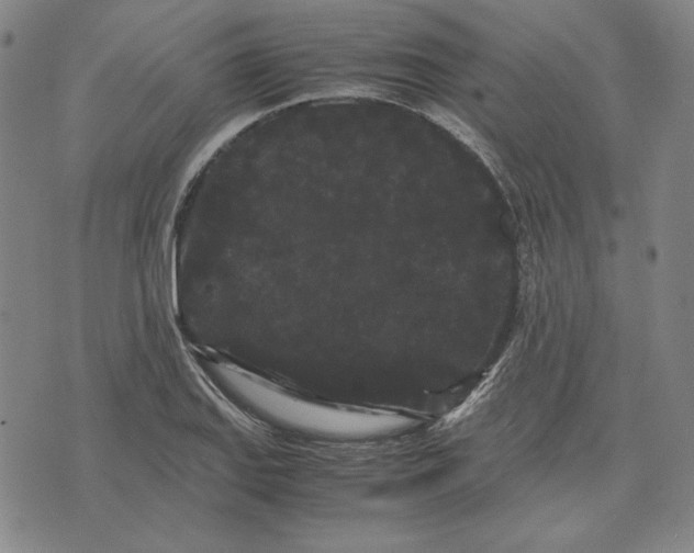 X0000071901127200607281757