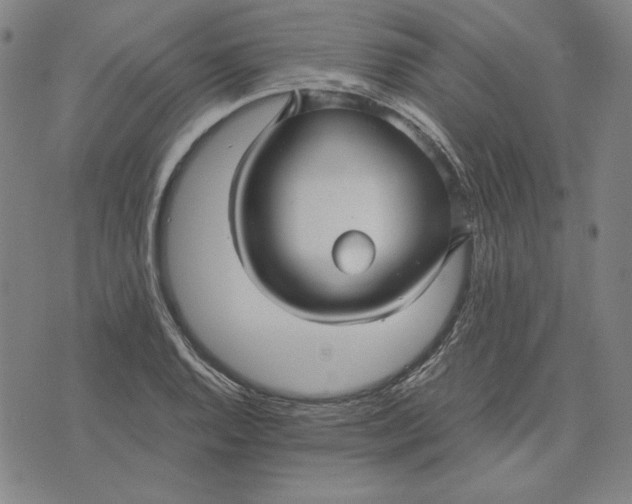 X0000071901128200607281757