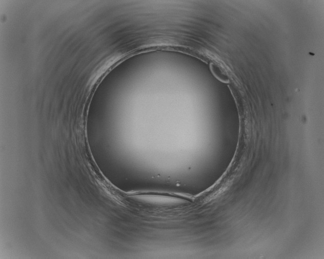 X0000071901129200607281757