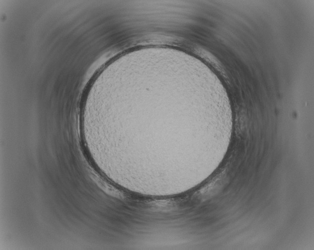 X0000071901130200607281757