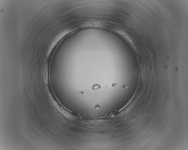 X0000071901131200607281757