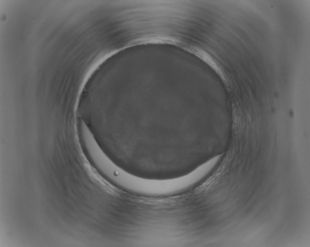 X0000071901132200607281757