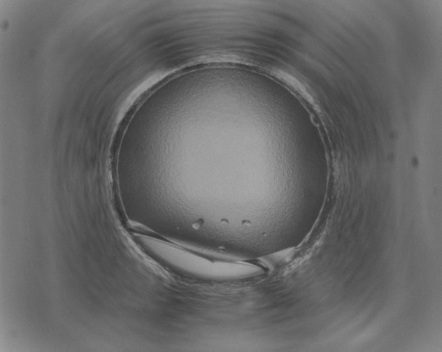 X0000071901133200607281757