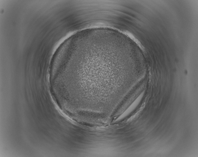 X0000071901134200607281757