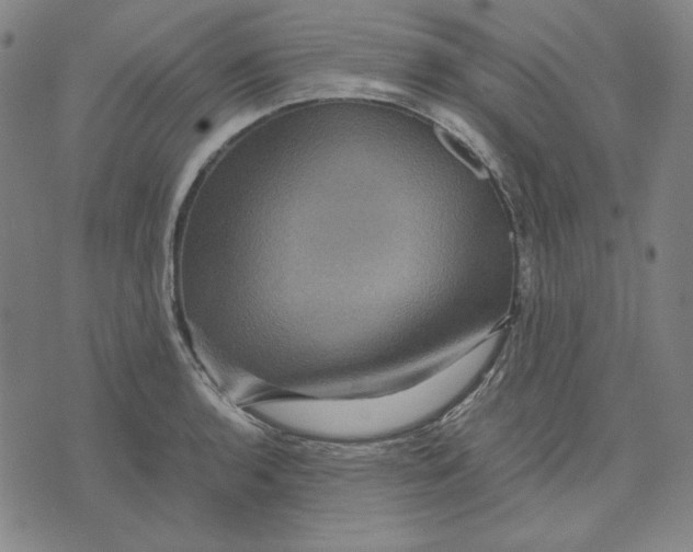 X0000071901136200607281757