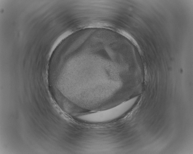 X0000071901138200607281757