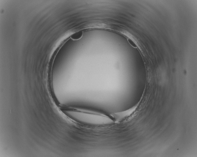 X0000071901139200607281757