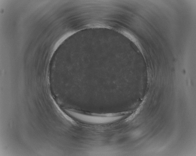 X0000071901141200607281757