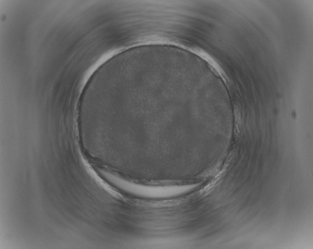 X0000071901142200607281757