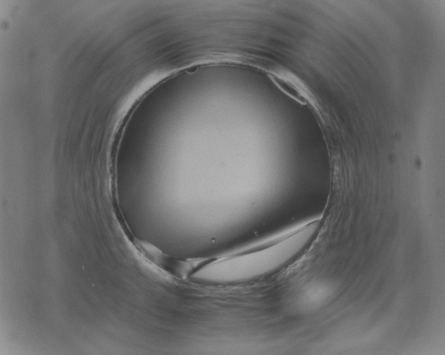 X0000071901143200607281757