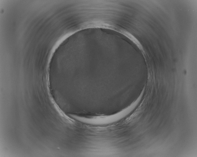 X0000071901144200607281757