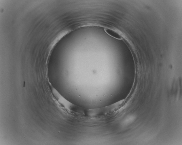 X0000071901145200607281757