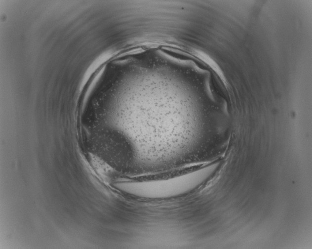 X0000071901146200607281757