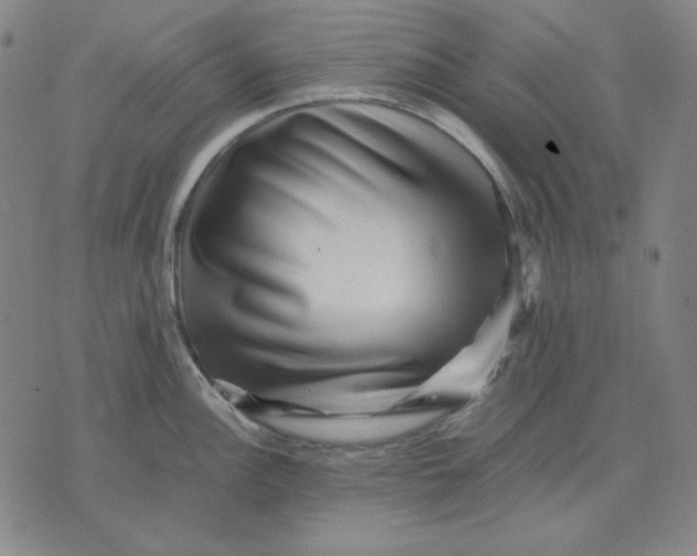 X0000071901148200607281757