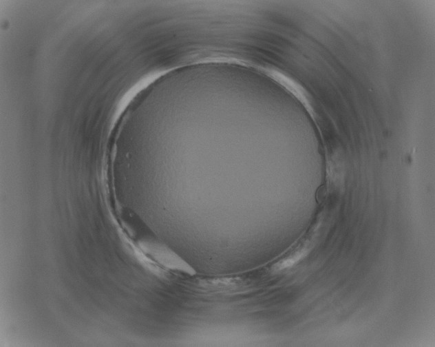 X0000071901149200607281757