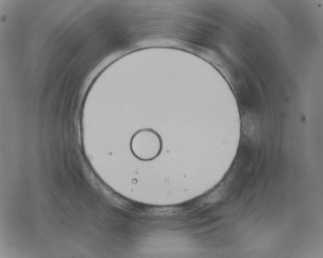 X0000071901150200607281757