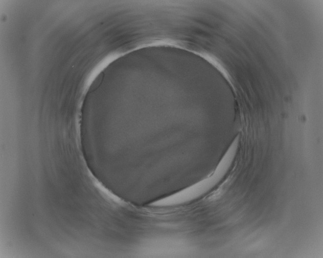 X0000071901151200607281757