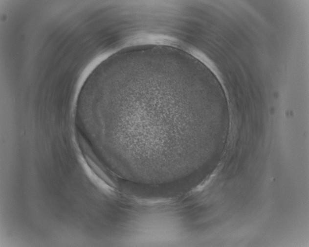 X0000071901152200607281757