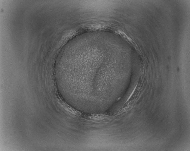 X0000071901153200607281756