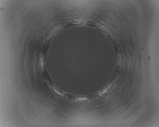 X0000071901154200607281756