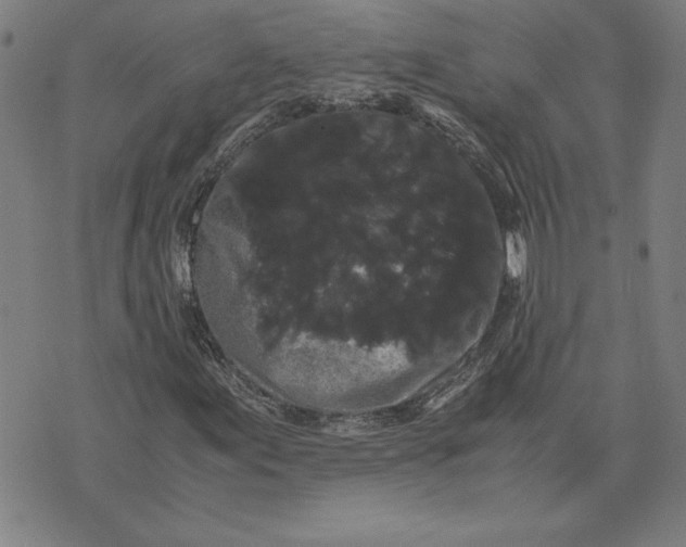 X0000071901155200607281756