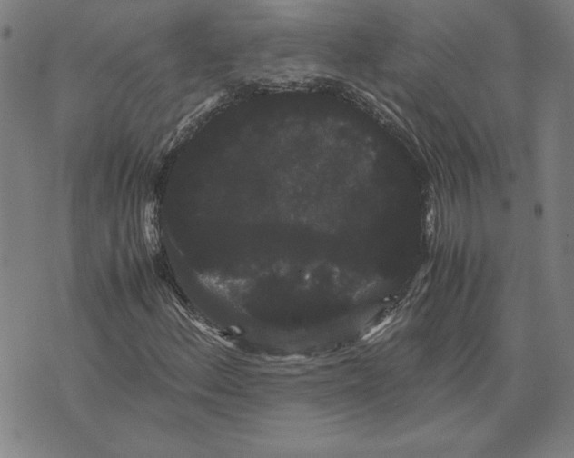 X0000071901156200607281756