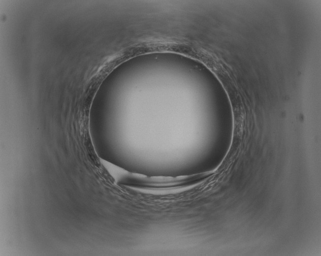 X0000071901157200607281756