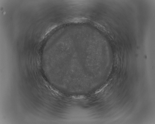 X0000071901158200607281756