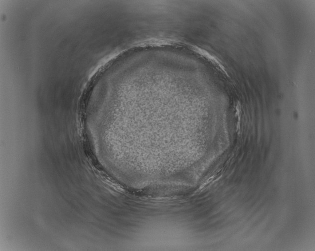 X0000071901160200607281756