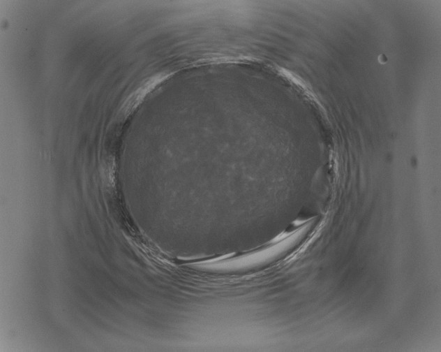 X0000071901161200607281756