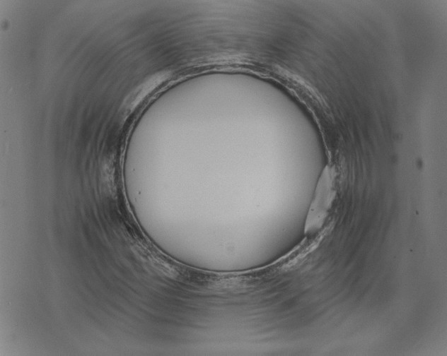 X0000071901162200607281756