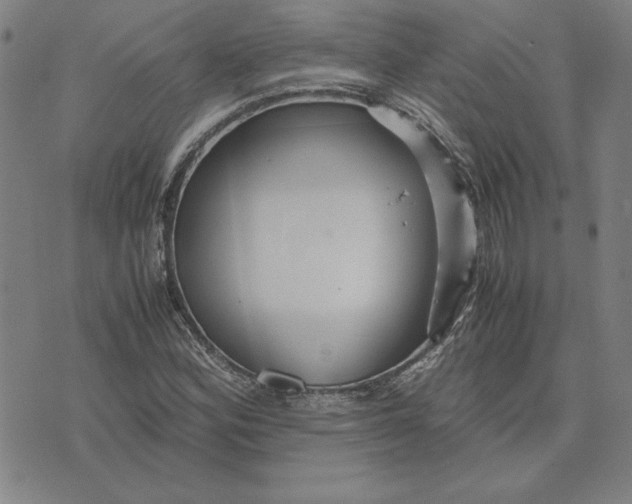 X0000071901164200607281756