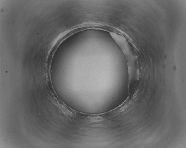 X0000071901168200607281756