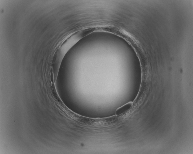 X0000071901169200607281756