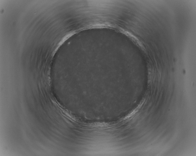 X0000071901170200607281756