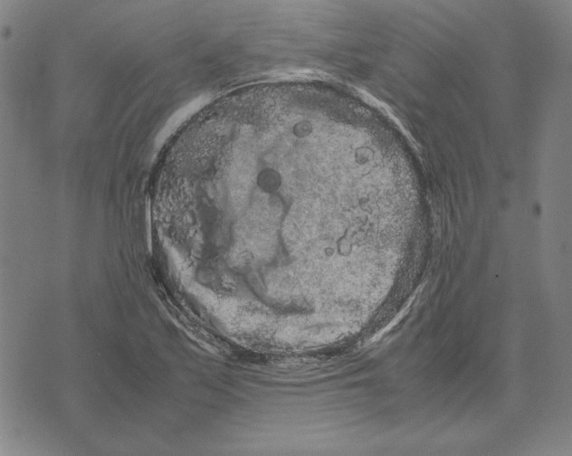 X0000071901171200607281756