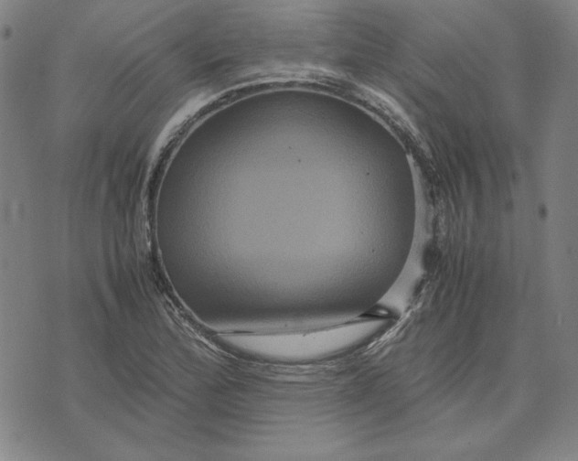 X0000071901172200607281756