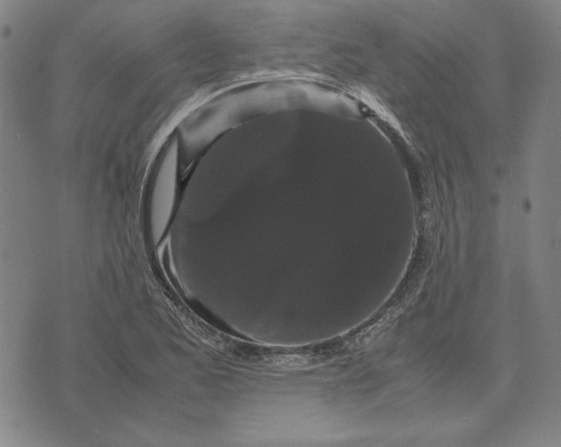 X0000071901173200607281756