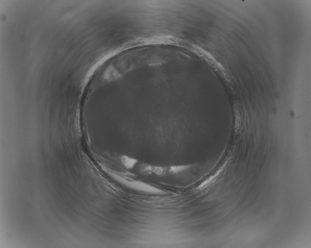 X0000071901174200607281756