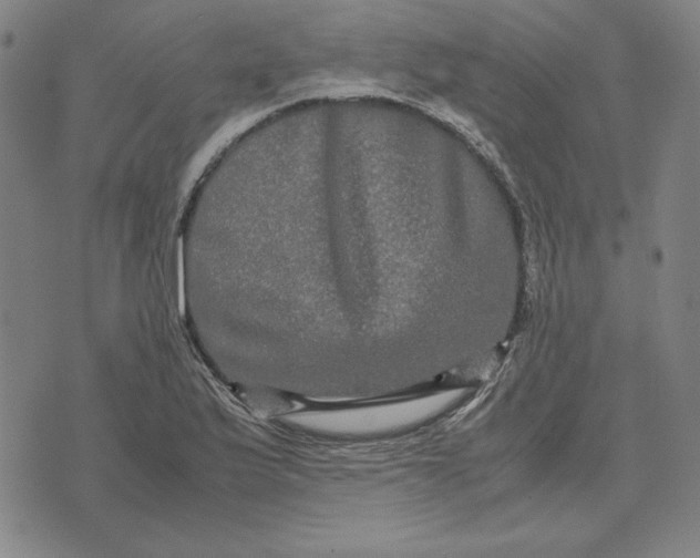 X0000071901175200607281756