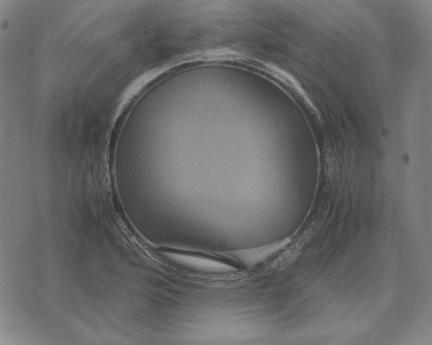 X0000071901176200607281756