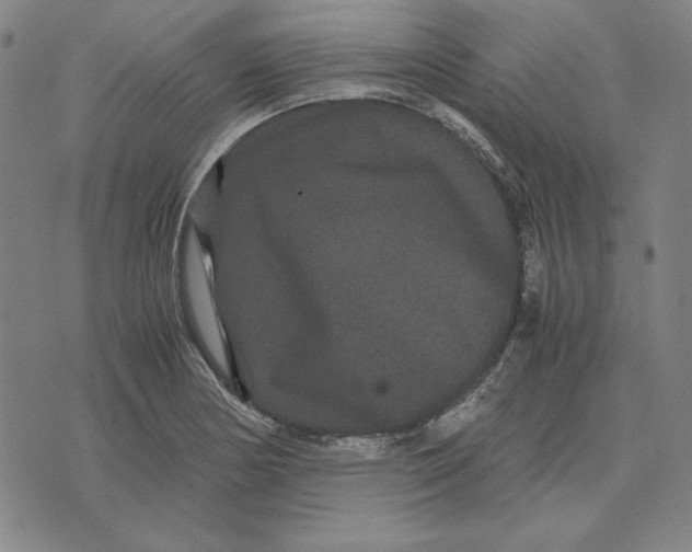 X0000071901178200607281756