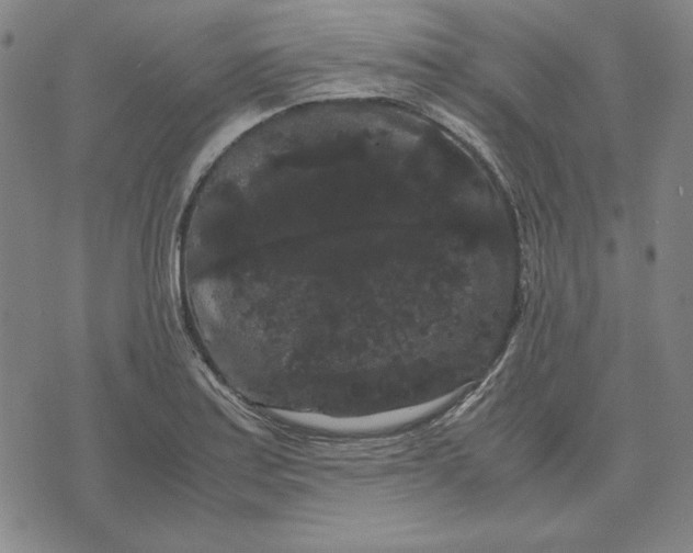 X0000071901179200607281756