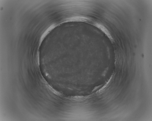 X0000071901180200607281756