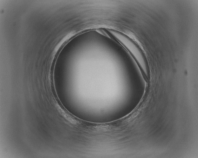 X0000071901181200607281756