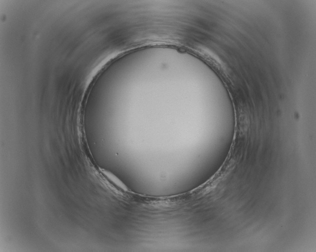 X0000071901182200607281756