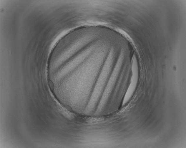 X0000071901183200607281756